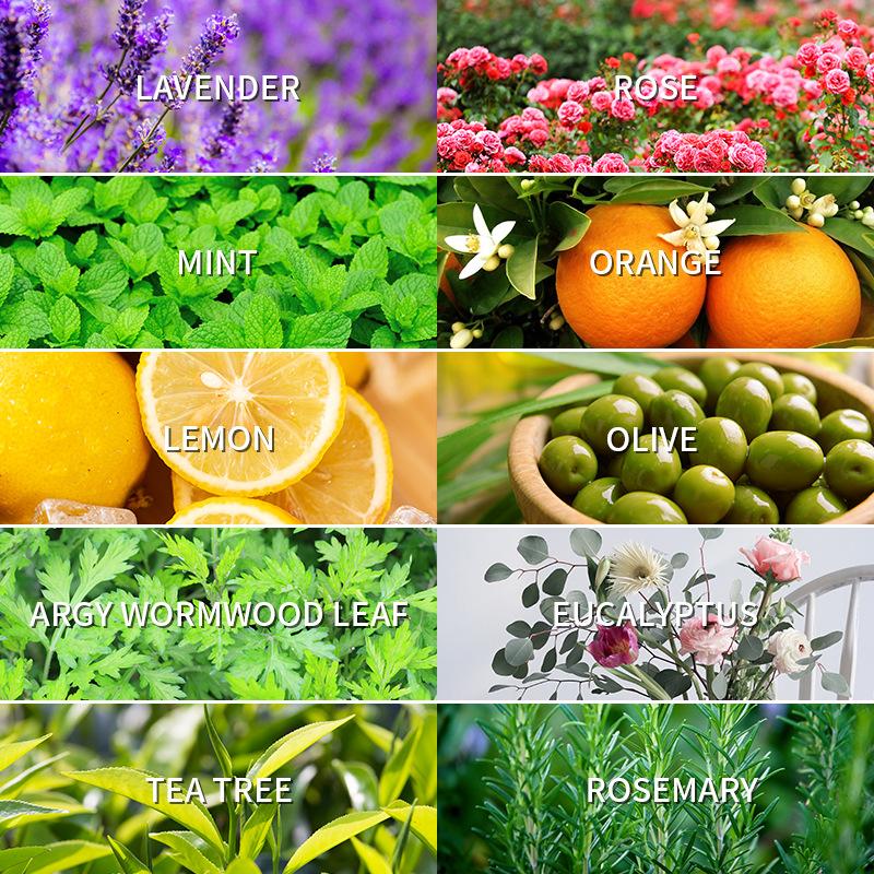 Óleo essencial de aromaterapia - Fragrance Oil 10Ml avaliação e preço